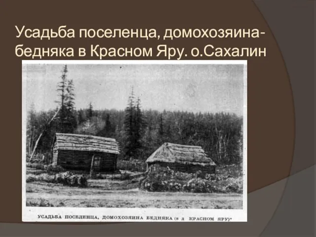 Усадьба поселенца, домохозяина-бедняка в Красном Яру. о.Сахалин