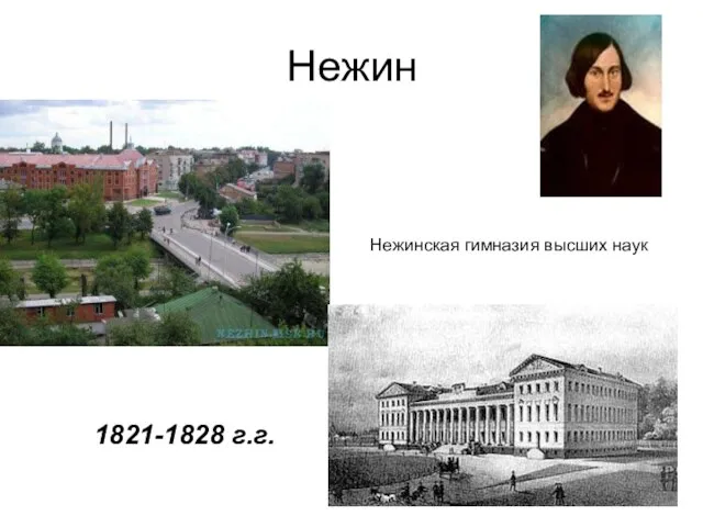 Нежин Нежинская гимназия высших наук 1821-1828 г.г.