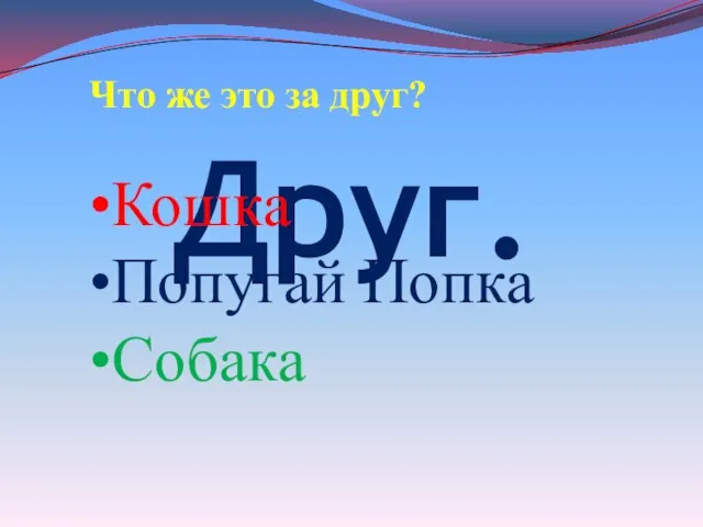 Друг. Что же это за друг? Кошка Попугай Попка Собака