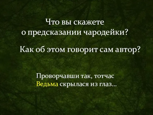 Что вы скажете о предсказании чародейки? Как об этом говорит сам автор?