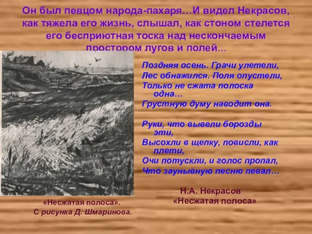 Он был певцом народа-пахаря…И видел Некрасов, как тяжела его жизнь, слышал, как