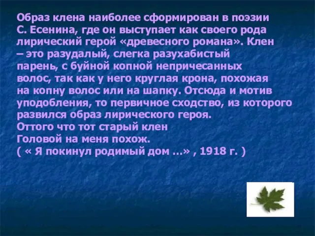 Образ клена наиболее сформирован в поэзии С. Есенина, где он выступает как