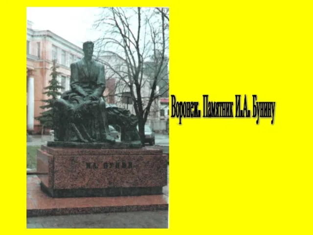 Воронеж. Памятник И.А. Бунину