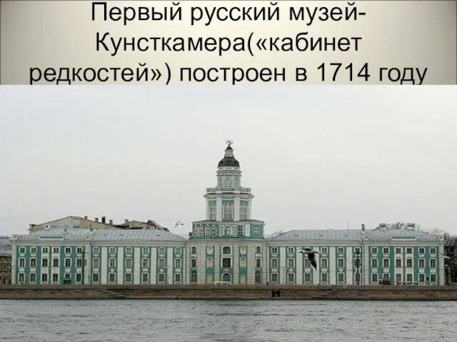 Первый русский музей-Кунсткамера(«кабинет редкостей») построен в 1714 году