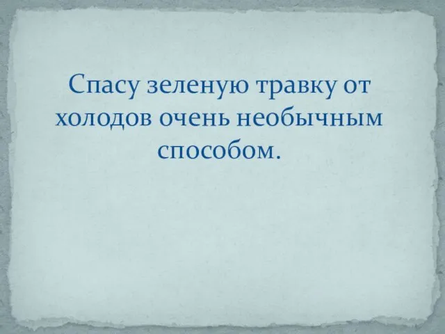 Спасу зеленую травку от холодов очень необычным способом.