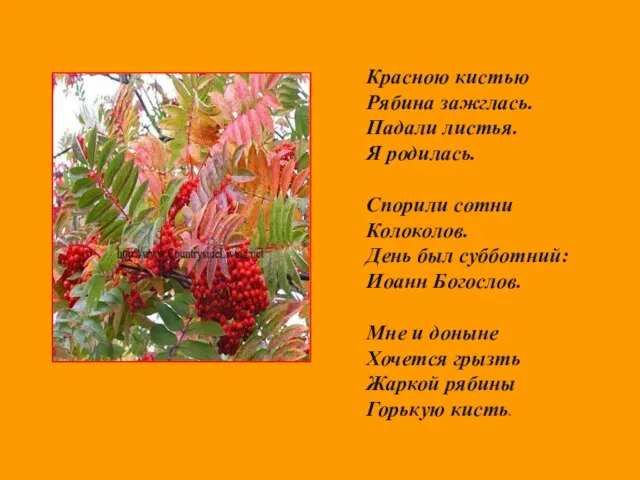 Красною кистью Рябина зажглась. Падали листья. Я родилась. Спорили сотни Колоколов. День