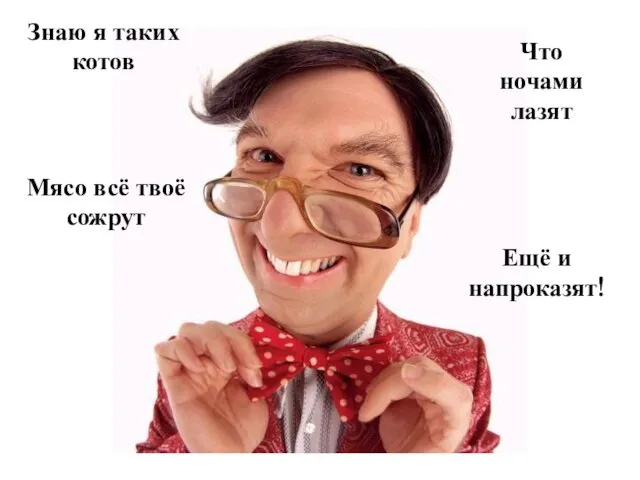 Знаю я таких котов Что ночами лазят Мясо всё твоё сожрут Ещё и напроказят!