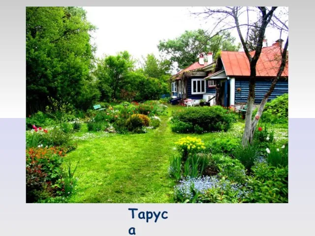 Таруса