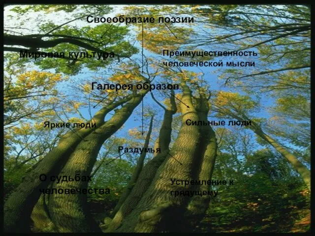 Своеобразие поэзии Мировая культура Преимущественность человеческой мысли Галерея образов Яркие люди Сильные