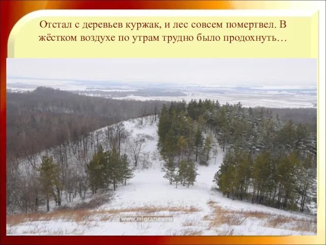 Отстал с деревьев куржак, и лес совсем помертвел. В жёстком воздухе по утрам трудно было продохнуть…