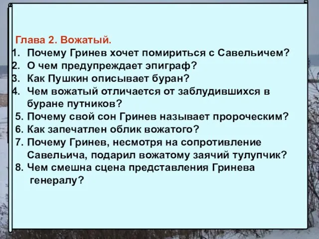 Глава 2. Вожатый. Почему Гринев хочет помириться с Савельичем? О чем предупреждает