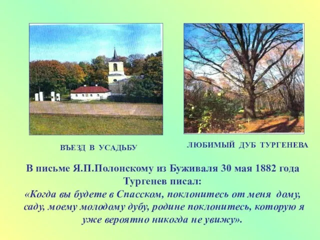 ВЪЕЗД В УСАДЬБУ ЛЮБИМЫЙ ДУБ ТУРГЕНЕВА В письме Я.П.Полонскому из Буживаля 30