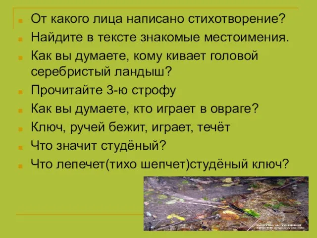 От какого лица написано стихотворение? Найдите в тексте знакомые местоимения. Как вы