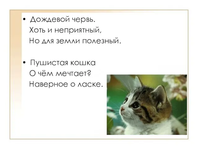 Дождевой червь. Хоть и неприятный, Но для земли полезный. Пушистая кошка О