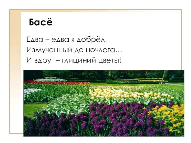 Басё Едва – едва я добрёл, Измученный до ночлега… И вдруг – глициний цветы!