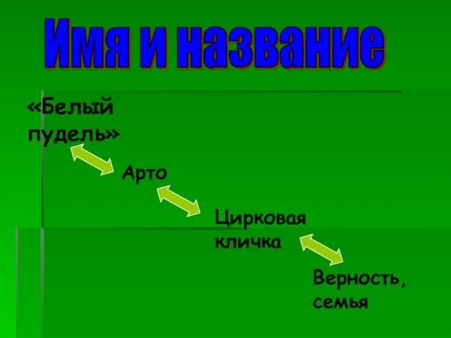 Имя и название «Белый пудель» Арто Цирковая кличка Верность, семья