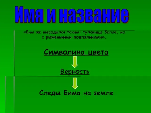 Имя и название «Бим же выродился таким: туловище белое, но с рыженькими