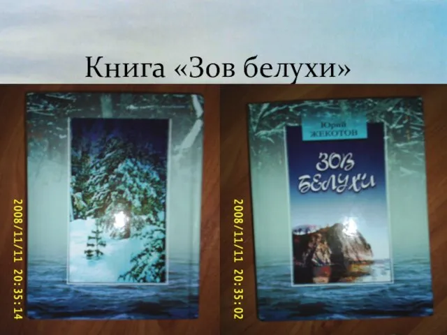 Книга «Зов белухи»