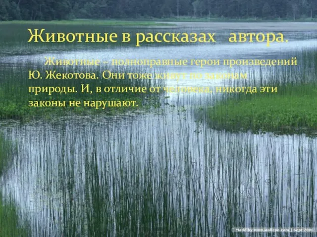 Животные – полноправные герои произведений Ю. Жекотова. Они тоже живут по законам