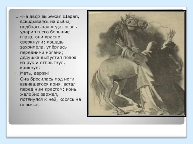 … «На двор выбежал Шарап, вскидываясь на дыбы, подбрасывая деда; огонь ударил