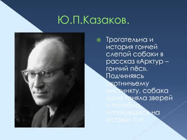 Ю.П.Казаков. Трогательна и история гончей слепой собаки в рассказ «Арктур – гончий