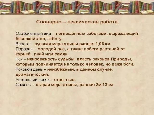 Словарно – лексическая работа. Озабоченный вид – поглощённый заботами, выражающий беспокойство, заботу.