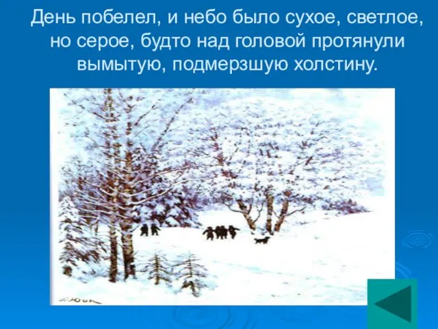 День побелел, и небо было сухое, светлое, но серое, будто над головой протянули вымытую, подмерзшую холстину.