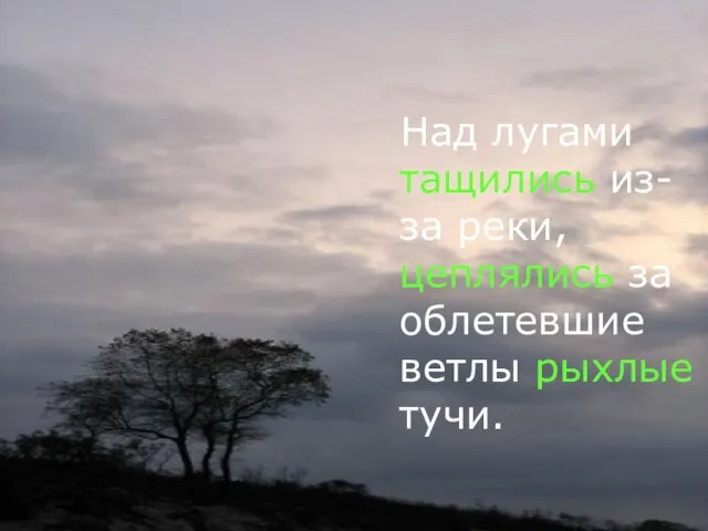 Над лугами тащились из-за реки, цеплялись за облетевшие ветлы рыхлые тучи.