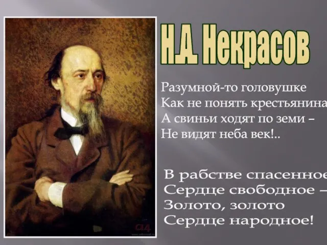 Н.А. Некрасов Разумной-то головушке Как не понять крестьянина? А свиньи ходят по