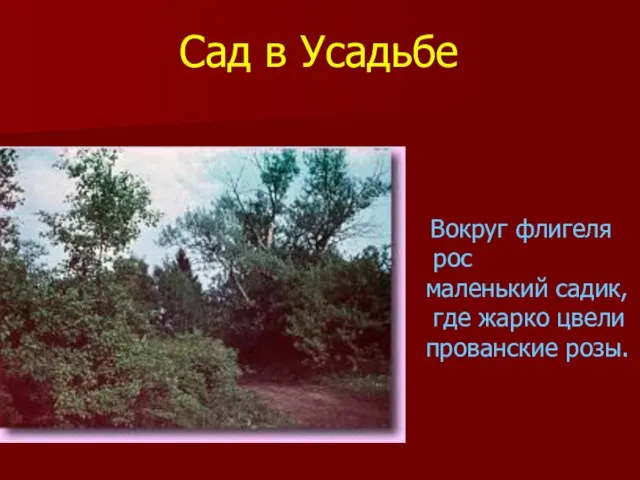 Вокруг флигеля рос маленький садик, где жарко цвели прованские розы. Сад в Усадьбе