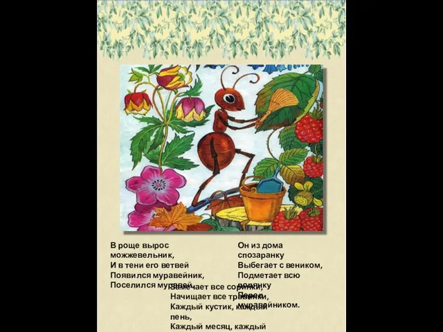 В роще вырос можжевельник, И в тени его ветвей Появился муравейник, Поселился