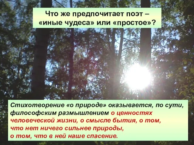 Что же предпочитает поэт – «иные чудеса» или «простое»? Стихотворение «о природе»