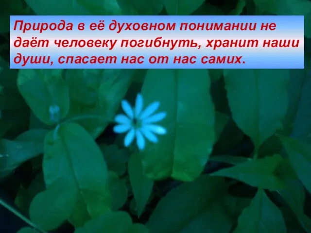 Природа в её духовном понимании не даёт человеку погибнуть, хранит наши души,