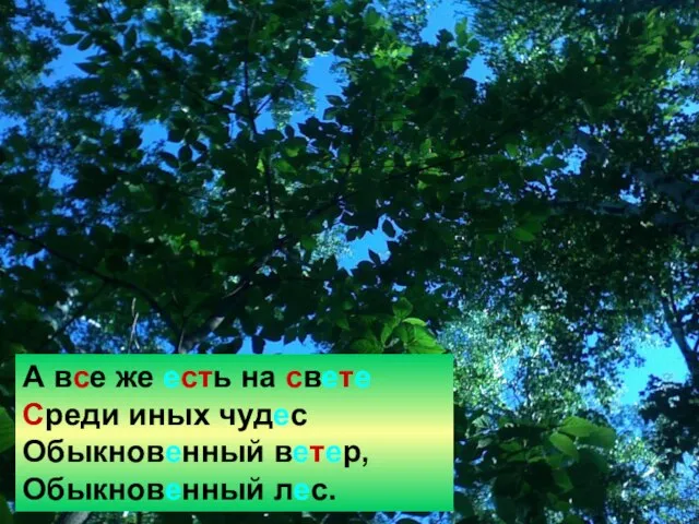 А все же есть на свете Среди иных чудес Обыкновенный ветер, Обыкновенный лес.