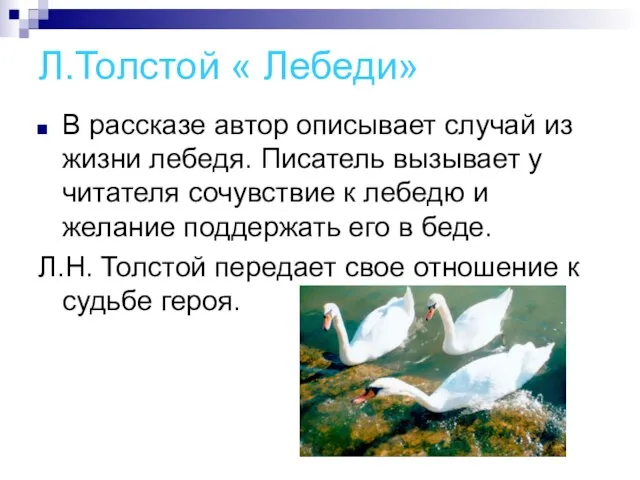 Л.Толстой « Лебеди» В рассказе автор описывает случай из жизни лебедя. Писатель