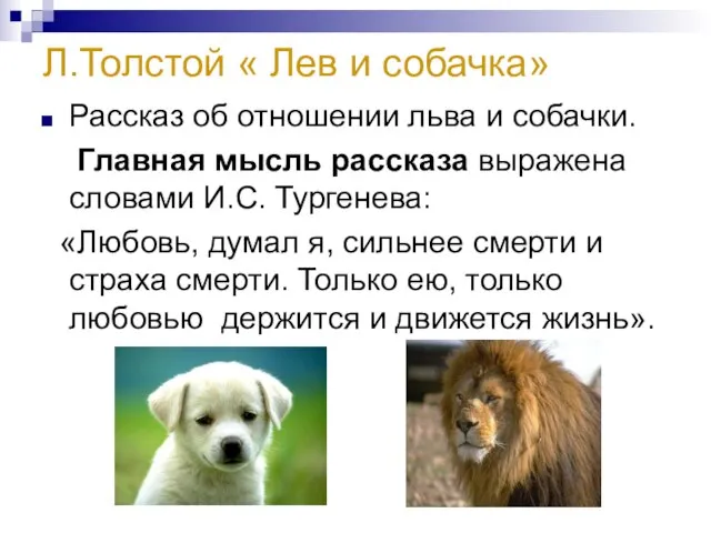 Л.Толстой « Лев и собачка» Рассказ об отношении льва и собачки. Главная