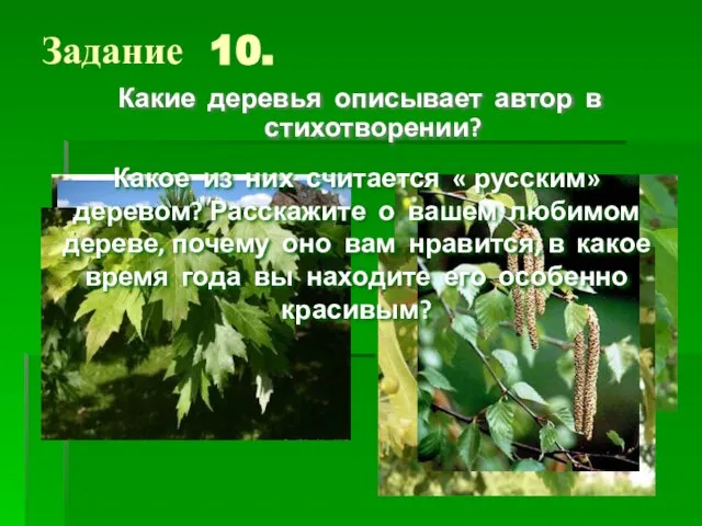 Задание 10. Какие деревья описывает автор в стихотворении? Какое из них считается