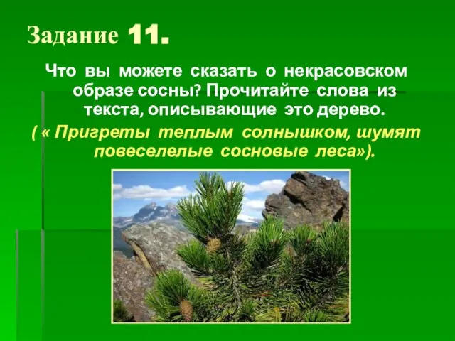 Задание 11. Что вы можете сказать о некрасовском образе сосны? Прочитайте слова