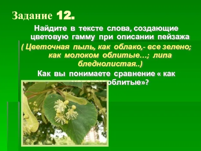 Задание 12. Найдите в тексте слова, создающие цветовую гамму при описании пейзажа