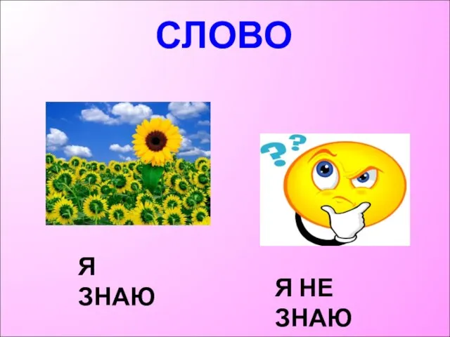 СЛОВО Я ЗНАЮ Я НЕ ЗНАЮ