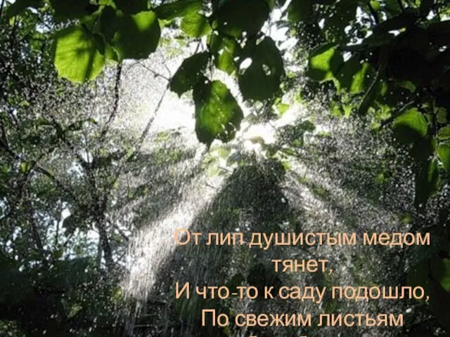 От лип душистым медом тянет, И что-то к саду подошло, По свежим листьям барабанит.