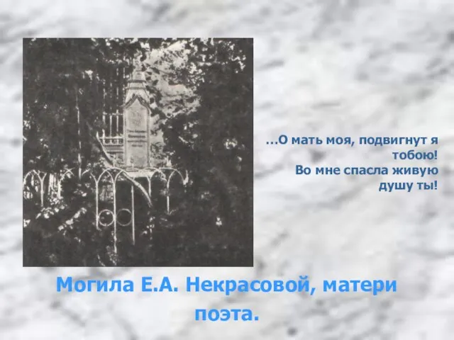 Могила Е.А. Некрасовой, матери поэта. …О мать моя, подвигнут я тобою! Во