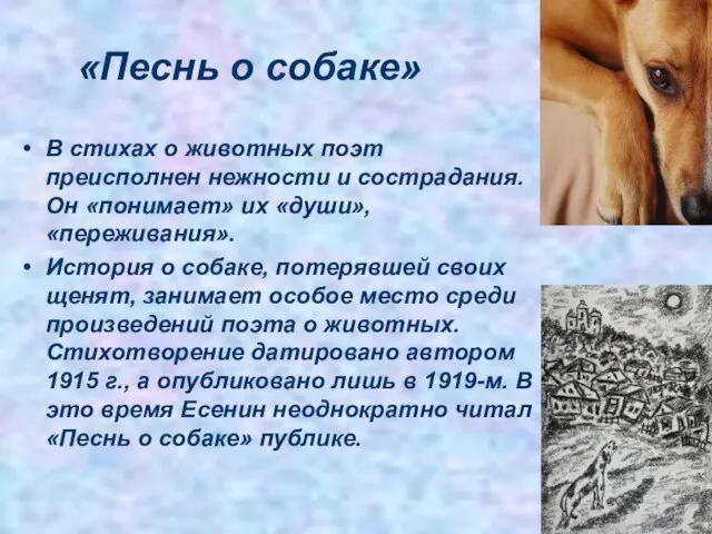 «Песнь о собаке» В стихах о животных поэт преисполнен нежности и сострадания.