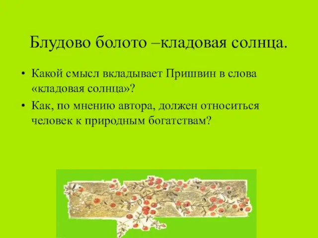 Блудово болото –кладовая солнца. Какой смысл вкладывает Пришвин в слова «кладовая солнца»?