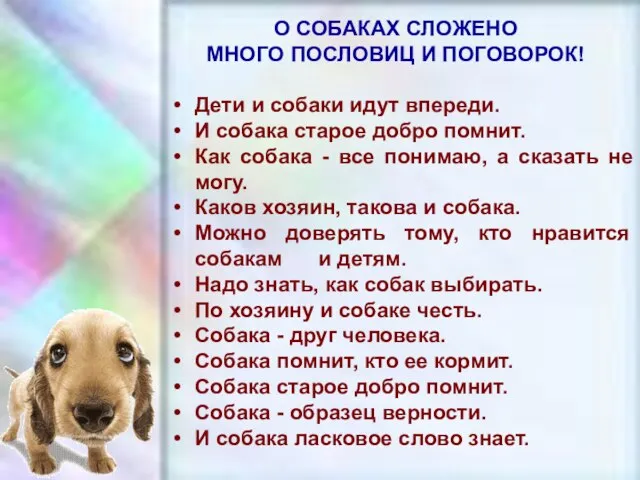 ЧУВАШСКАЯ РЕСПУБЛИКА, г. ШУМЕРЛЯ, МОУ «СОШ №2» О СОБАКАХ СЛОЖЕНО МНОГО ПОСЛОВИЦ