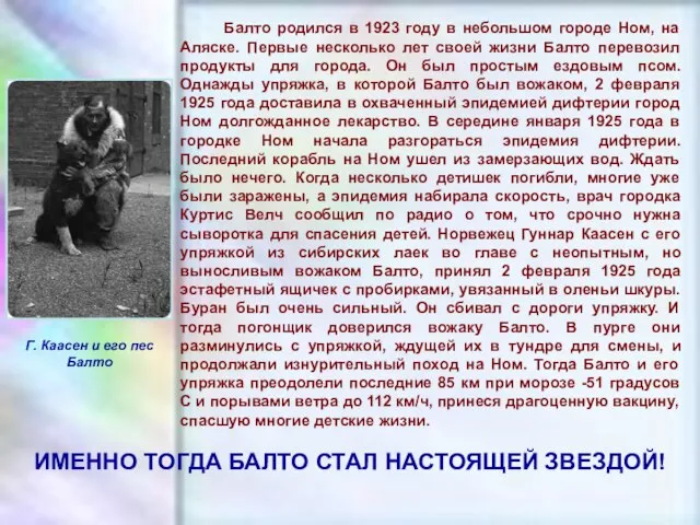 ЧУВАШСКАЯ РЕСПУБЛИКА, г. ШУМЕРЛЯ, МОУ «СОШ №2» Балто родился в 1923 году