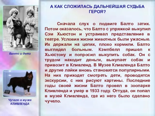 ЧУВАШСКАЯ РЕСПУБЛИКА, г. ШУМЕРЛЯ, МОУ «СОШ №2» Сначала слух о подвиге Балто