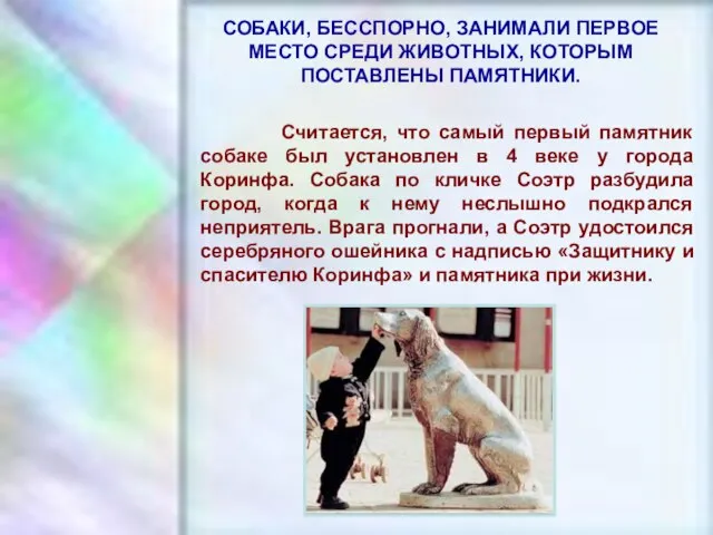 ЧУВАШСКАЯ РЕСПУБЛИКА, г. ШУМЕРЛЯ, МОУ «СОШ №2» СОБАКИ, БЕССПОРНО, ЗАНИМАЛИ ПЕРВОЕ МЕСТО