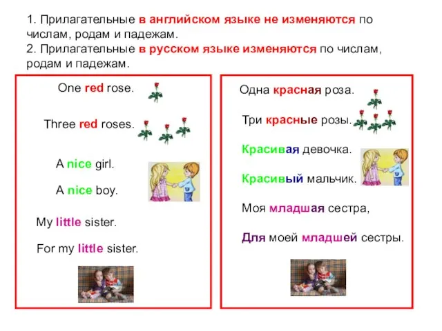 1. Прилагательные в английском языке не изменяются по числам, родам и падежам.