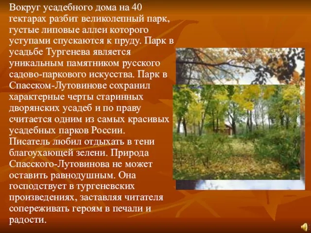 Вокруг усадебного дома на 40 гектарах разбит великолепный парк, густые липовые аллеи